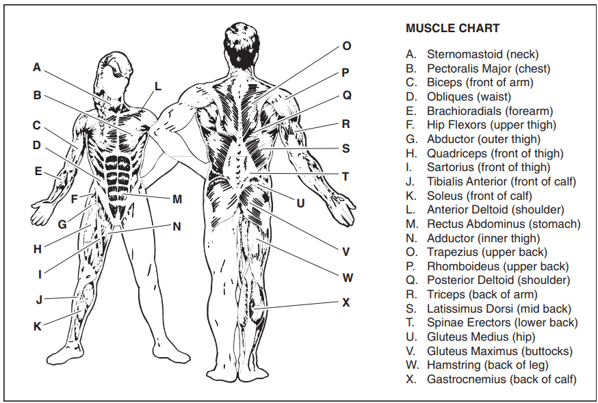 ProForm C840 Smith Machine User Manual ProForm C840 Smith Machine 41