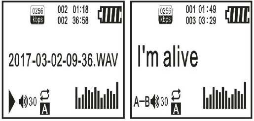 Aiworth E36 Professional Voice Recorder User Manual-5