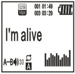 Aiworth E36 Professional Voice Recorder User Manual-7