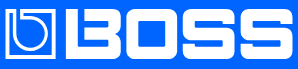 Boss logo1