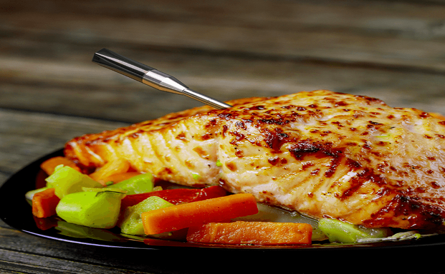 DOQAUS CP5 Wireless Meat Thermometer User Manual-feat