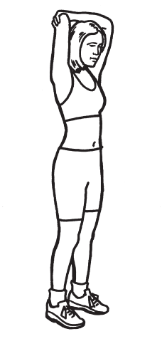 Fitness Quest New Balance 5K 6100 Recumbent Bike 13