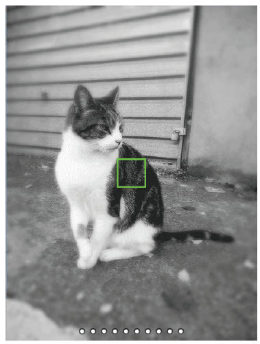 Fujifilm Instax Mini EVO Instant Camera 16