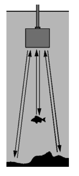 HawkEye Fishtrax 1C Fish Finder 1