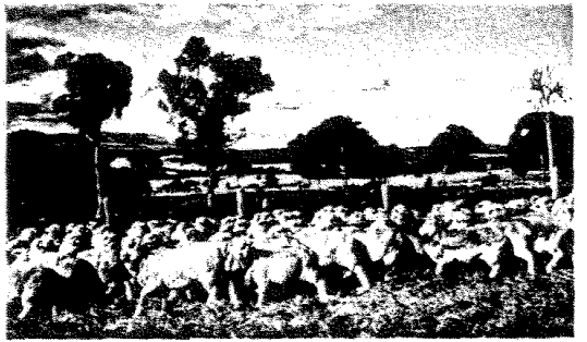 Minolta SR-T200 SLR Film Camera Owners Manual Minolta SR-T200 SLR Film Camera-12