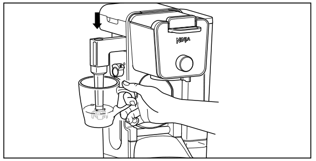 Ninja CFP301 DualBrew Pro Coffee Maker Owner Guide Ninja CFP301 DualBrew Pro Coffee Maker 31