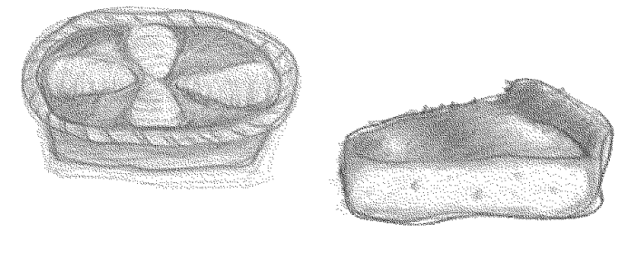 Panasonic NB-G110P Toaster Oven Operating Instructions Panasonic NB-G110P Toaster Oven 15