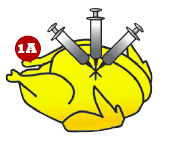 FiOS by Frontier Router and MoCA Adapter Quick Setup Guide | ManualsLibraryy