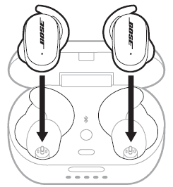 Bose Quiet Comfort Earbuds-charin case