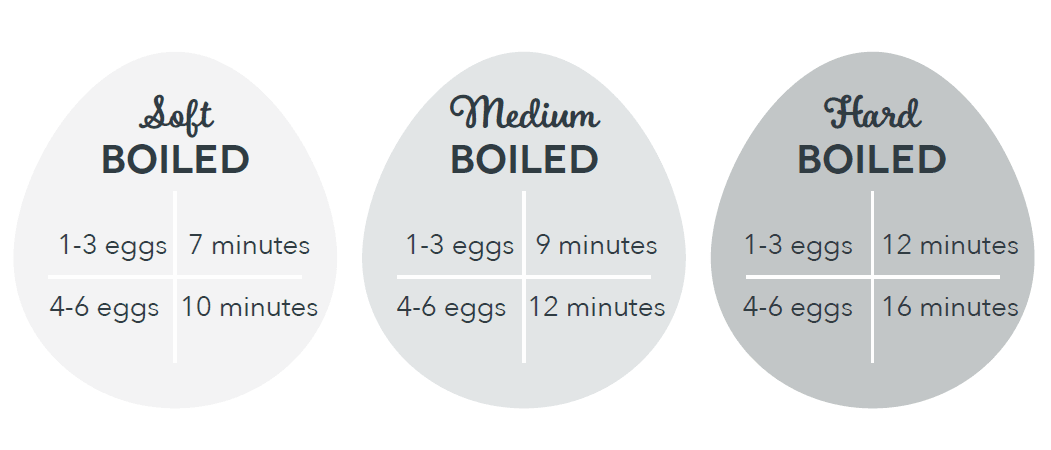 Dash RAPID DEC005 Egg Cooker User Manual Dash RAPID DEC005 Egg Cooker-2