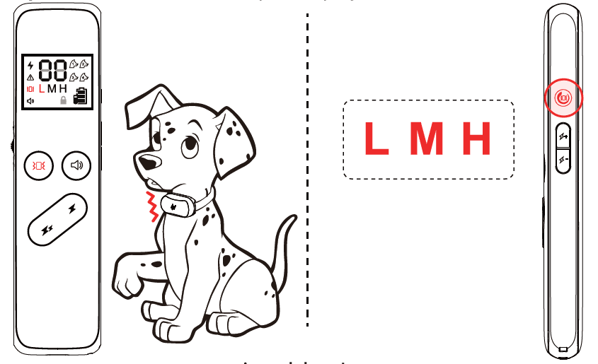 Delupet DT-66 Dog Training Shock Collar-14