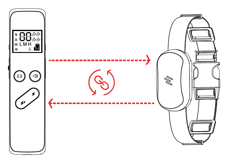 Delupet DT-66 Dog Training Shock Collar-27