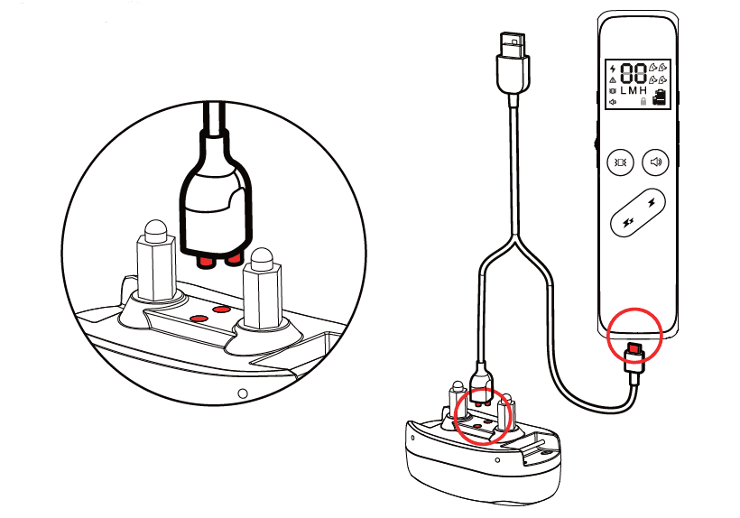 Delupet DT-66 Dog Training Shock Collar-9