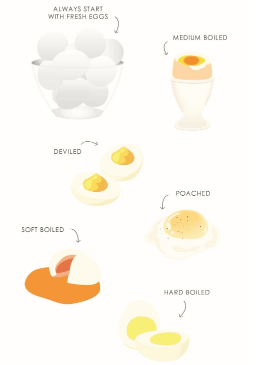 Elite Gourmet EGC007 Automatic Electric Egg Cooker 2