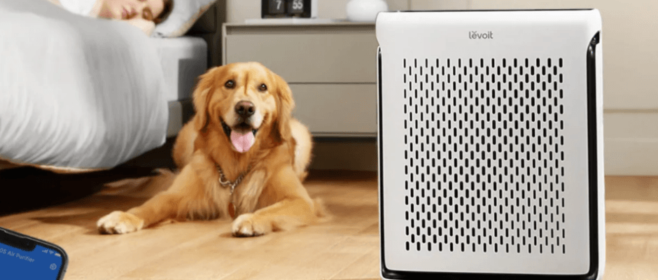 Levoit Vital 100S Smart True HEPA Air Purifier User Manual Levolt Vital 100S Smart True HEPA Air Purifier-featured