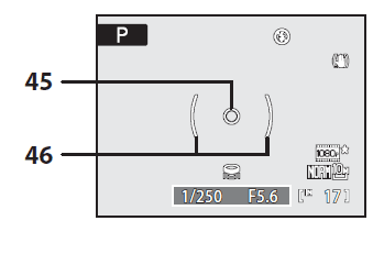 Nikon CoolPix P100 10 MP Digital Camera-9