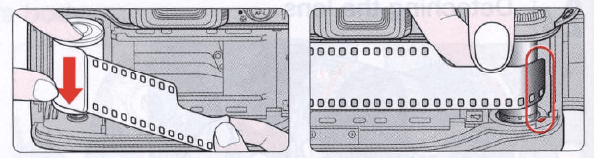 Nikon N80 35mm SLR Film Camera Instruction Manual-26