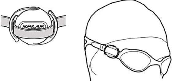 Polar Verity Sense Optical Heart Rate Monitor Armband-7