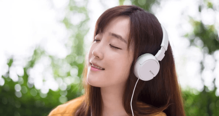 Sony MDR-ZX110 ZX Series Wired On-Ear Headphones User Manual Sony MDR-ZX110 ZX Series Wired On-Ear Headphones-featured