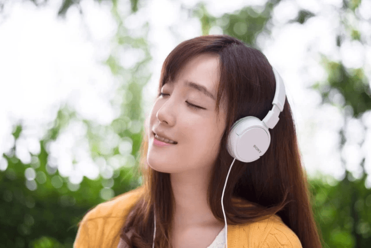 Sony MDR-ZX110 ZX Series Wired On-Ear Headphones User Manual