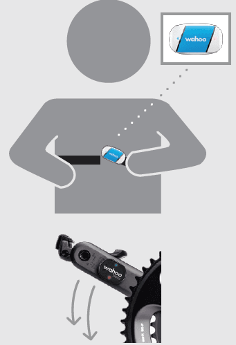 Wahoo RPM Cycling Cadence Sensor for Outdoor User Guide Wahoo RPM Cycling Cadence Sensor for Outdoor-activate sensor