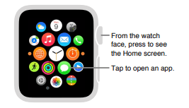 Apple Series 3 Smart Watch User Guide apple