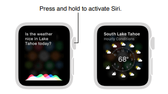 Apple Series 3 Smart Watch User Guide apple