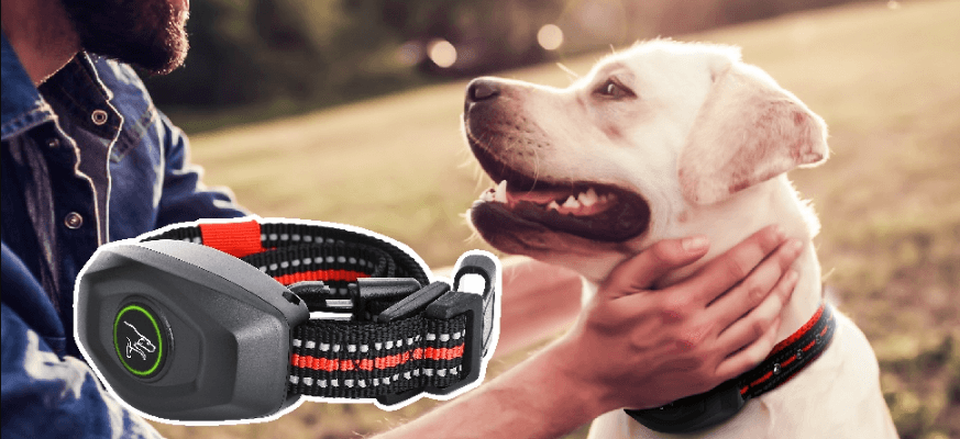 doBE DB400 Training Anti-Bark User Manual doBE DB400 Training Anti-Bark-featured