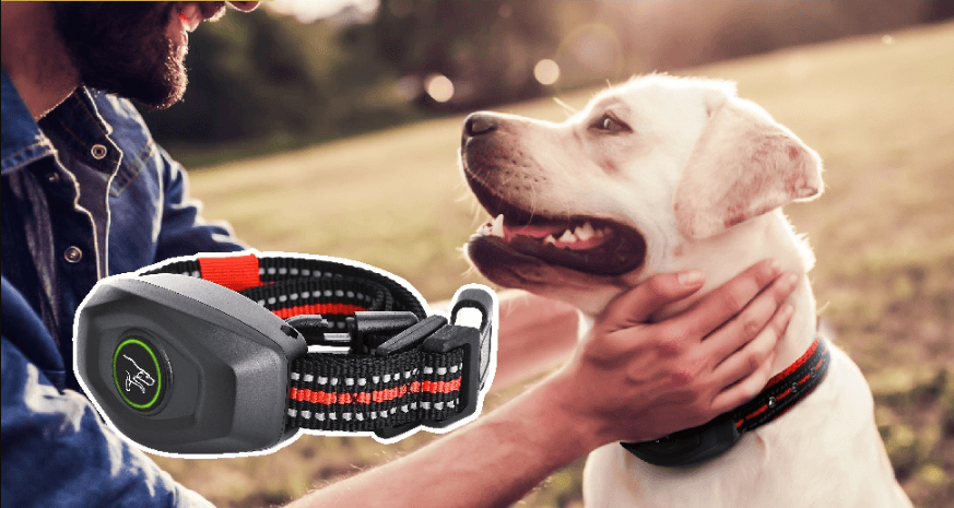 doBE DB400 Training Anti-Bark User Manual doBE DB400 Training Anti-Bark-featured