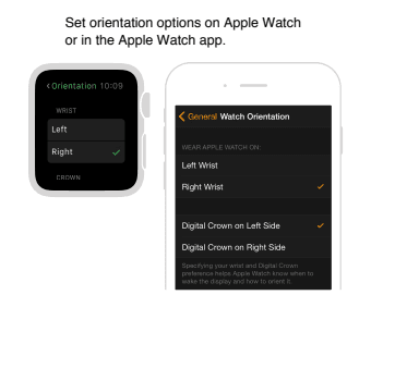 Apple Series 3 Smart Watch User Guide apple