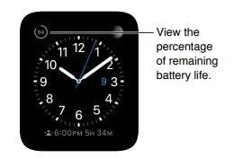 Apple Series 3 Smart Watch User Guide apple