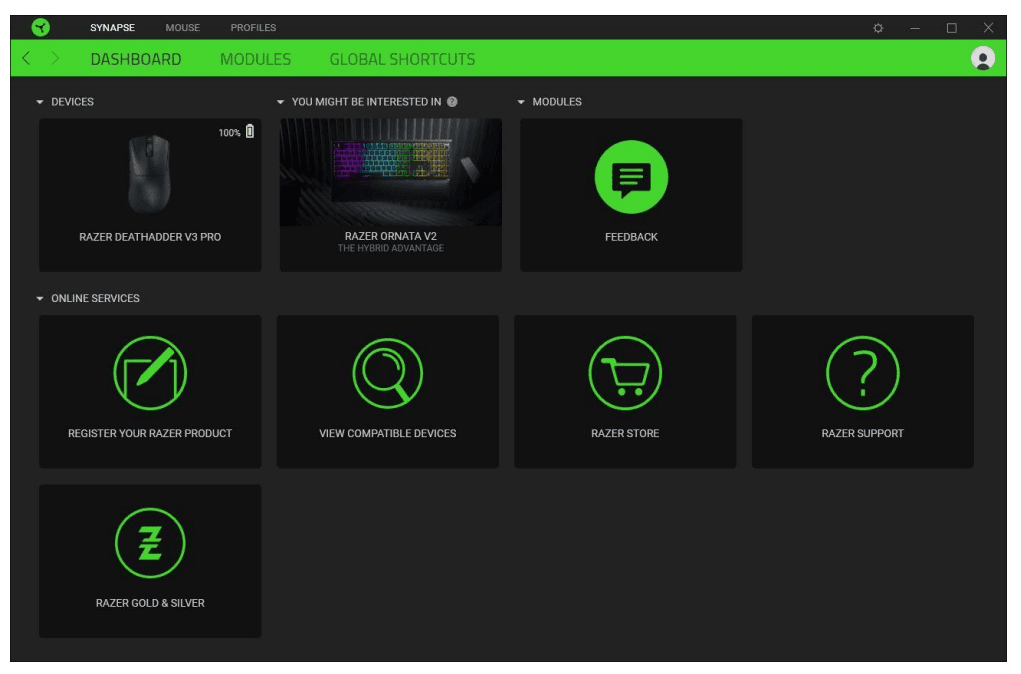 Razer DeathAdder V3 Pro Wireless Gaming Mouse User Manual Razer DeathAdder V3 Pro Wireless Gaming Mouse-product12