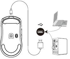 ATTACK SHARK R6 Wireless Gaming Mouse User Guide ATTACK SHARK R6 Wireless Gaming Mouse-4