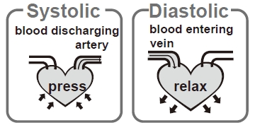 Care Touch Platinum Wrist Blood Pressure Monitor User Manual Care Touch Platinum Wrist Blood Pressure Monitor User Manual-19