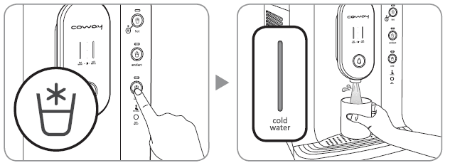 Coway CHP-250L Water Filteration System 14
