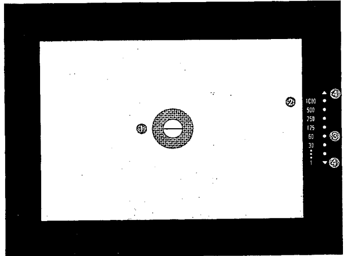 Minolta XG-1 Film Camera 34