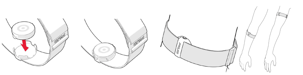 POLAR OH1 Waterproof Optical Heart Rate Monitor 3