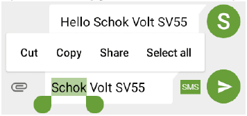 SCHOK Volt SV55 Phone User Manual-4