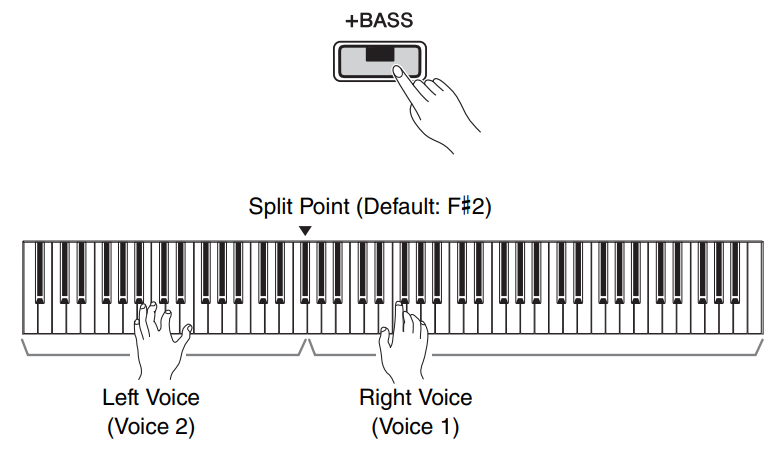 Yamaha P-125 Digital Piano 22