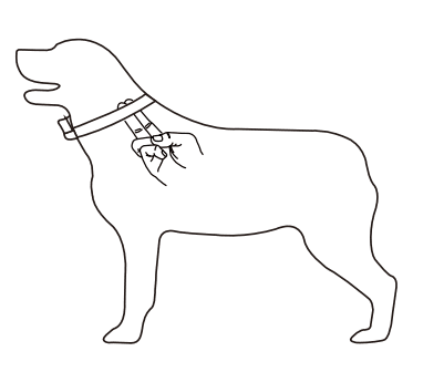 doBE DB400 Training Anti-Bark User Manual doBE DB400 Training Anti-Bark-14