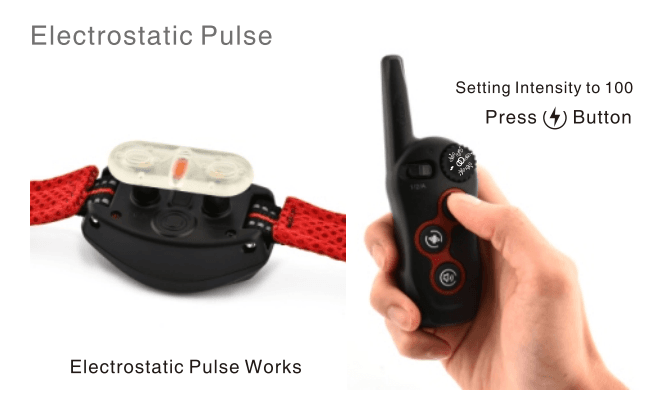 doBE DB400 Training Anti-Bark User Manual doBE DB400 Training Anti-Bark-6