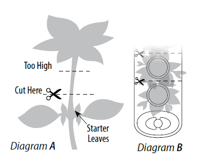 AeroGarden 100304 Sprout LED Indoor Garden-13