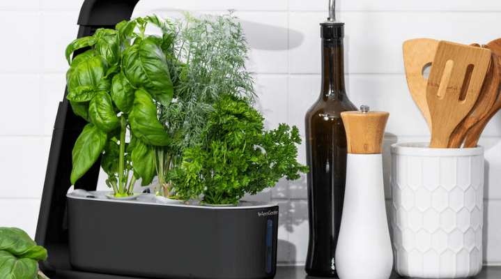 AeroGarden 100304 Sprout LED Indoor Garden-featured