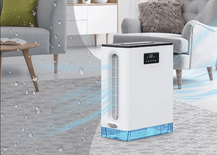 BIZEWO DH-CS09 Dehumidifier for Home User Manual