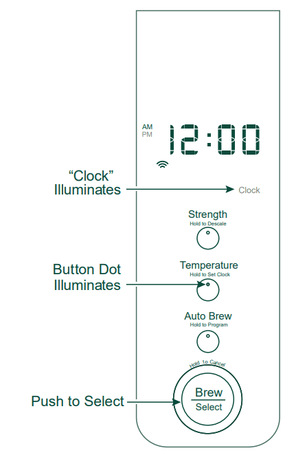 Cafe Specialty Drip Coffee Maker-2