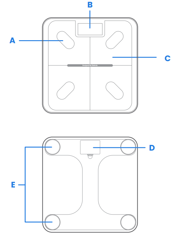 Etekcity ESF-551 Smart Scale for Body Weight-2