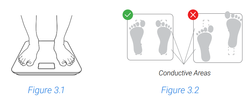 Etekcity ESF-551 Smart Scale for Body Weight-7