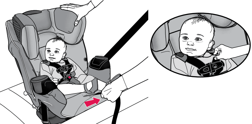 Evenflo Platinum SafeMax Car Seat User Manual Evenflo Platinum SafeMax Car Seat 12