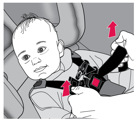 Evenflo Platinum SafeMax Car Seat User Manual Evenflo Platinum SafeMax Car Seat 7