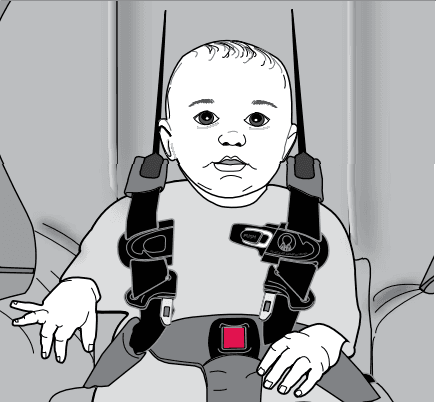 Evenflo Platinum SafeMax Car Seat 8